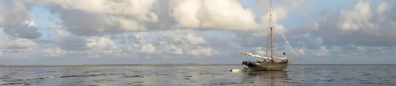 Foto Cees Mooij